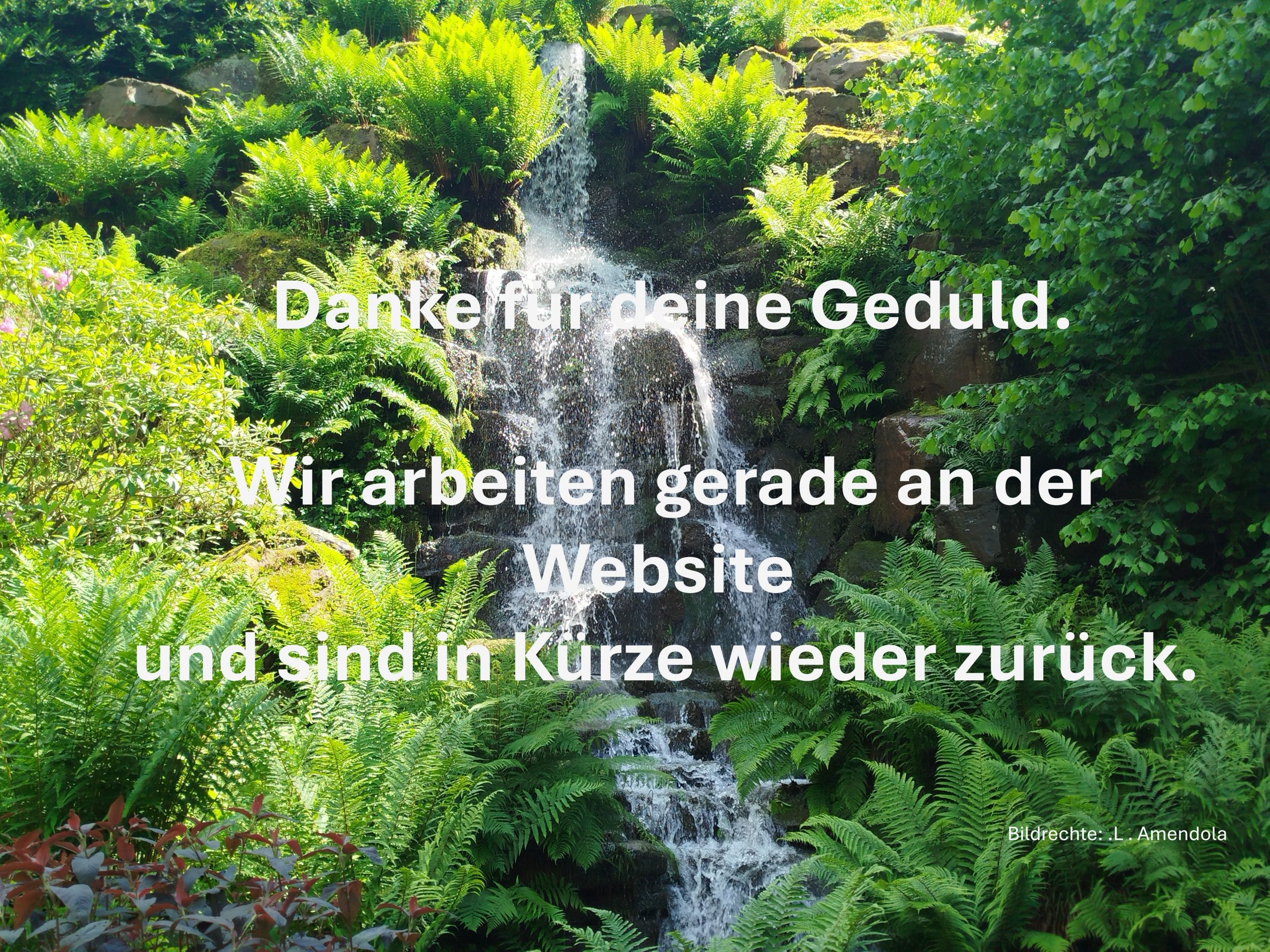 Danke für deine Geduld. Wir arbeiten gerade an der Website und sind in Kürze wieder zurück.